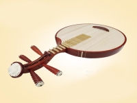 京剧种常用的乐器有哪些(京剧种常用的乐器有哪些种类)